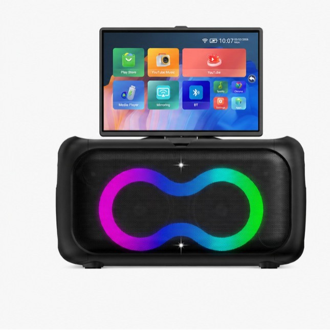 OEM/ODM K55 Portable Karaoke M - огляд і ціна Smart Home Speaker
